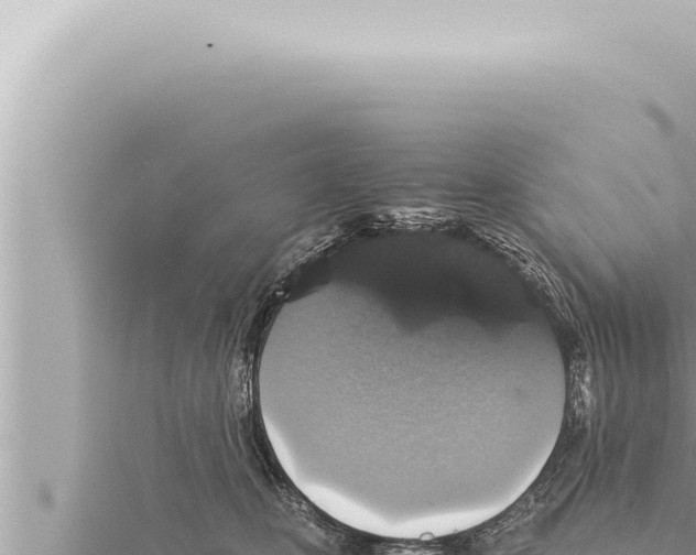 X0000115410471200912011229