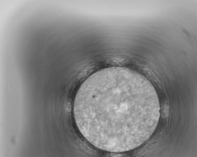 X0000115410472200912011229