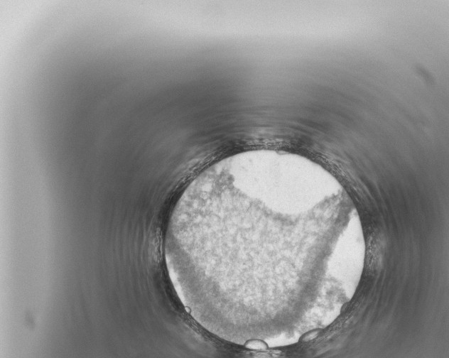 X0000115410474200912011229