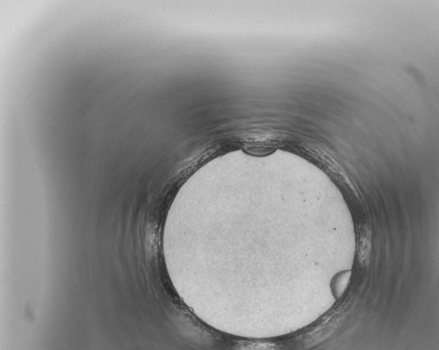 X0000115410476200912011229