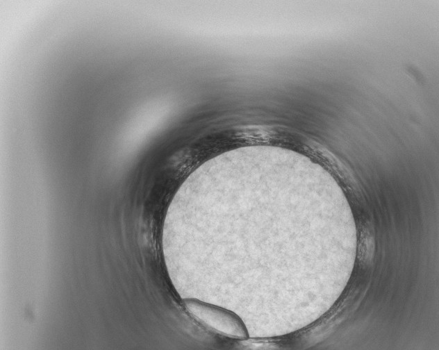 X0000115410477200912011229