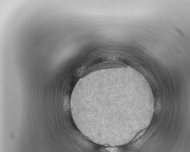 X0000115410478200912011229