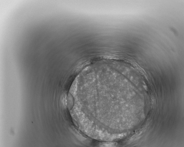 X0000115410479200912011229