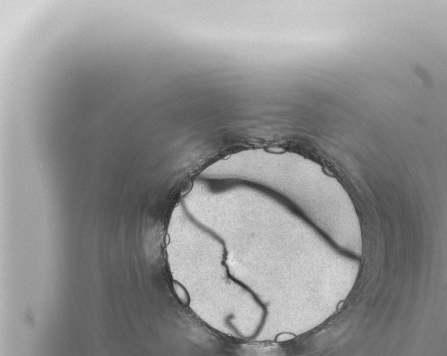 X0000115410480200912011229