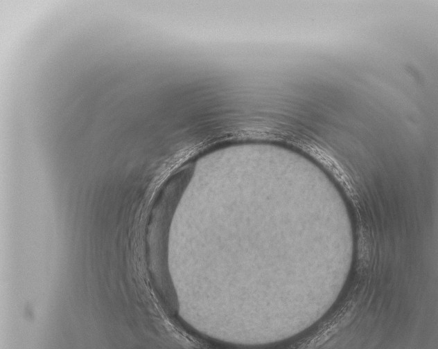 X0000115410481200912011228