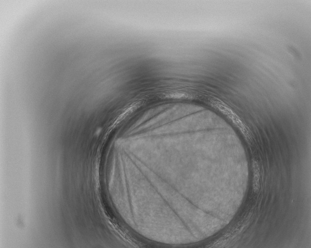 X0000115410482200912011228