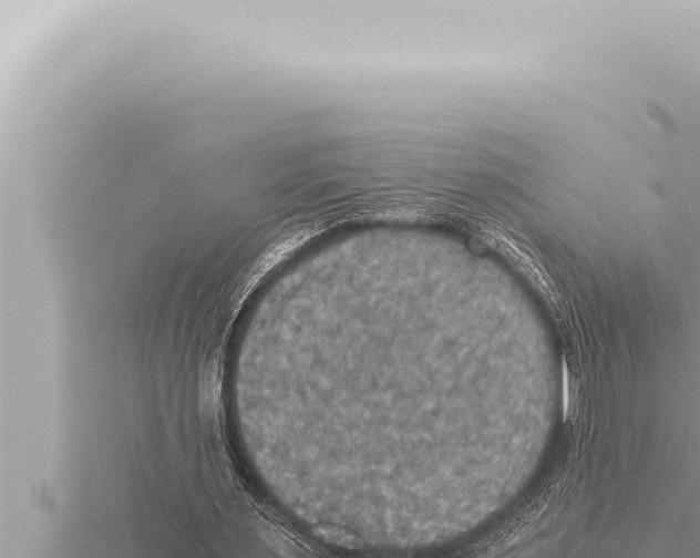 X0000115410483200912011228