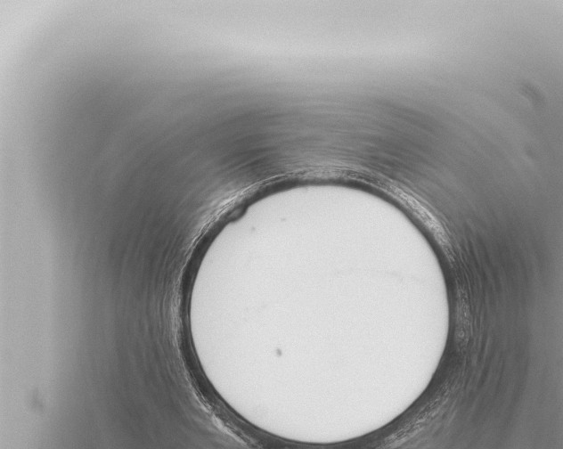 X0000115410485200912011228