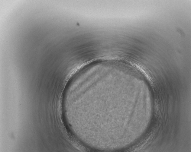 X0000115410487200912011228