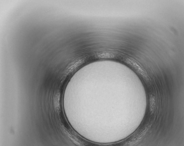 X0000115410490200912011228