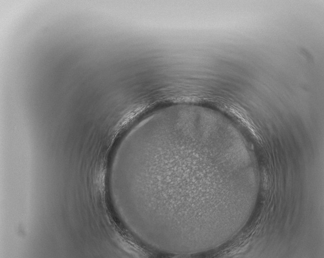 X0000115410491200912011228