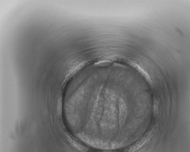 X0000115410493200912011228