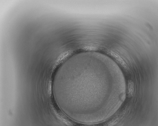 X0000115410494200912011228