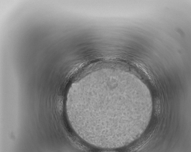 X0000115410495200912011228