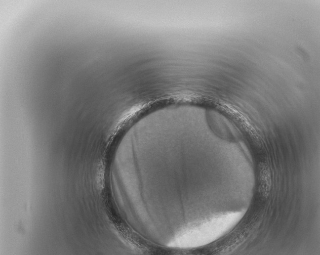 X0000115410496200912011228