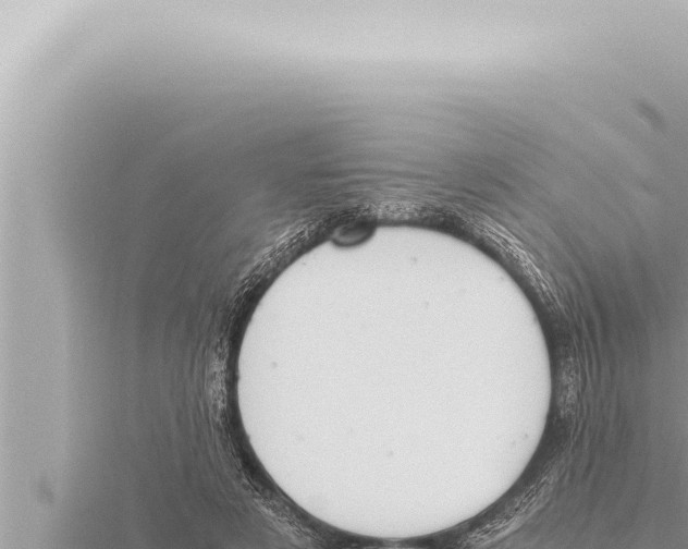 X0000115410497200912011228