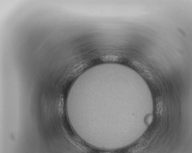 X0000115410498200912011228