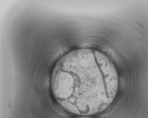 X0000115410499200912011228