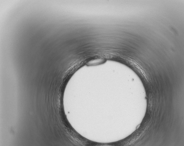 X0000115410501200912011228