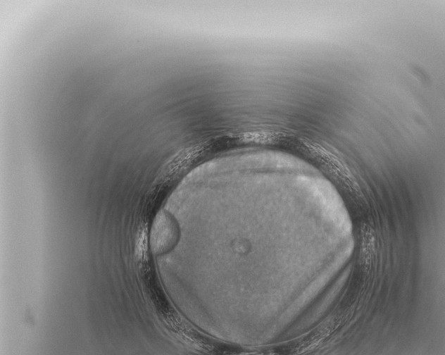 X0000115410502200912011228