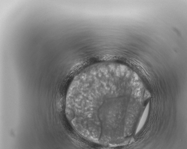 X0000115410503200912011228