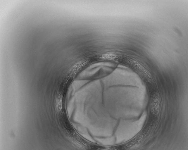 X0000115410504200912011228