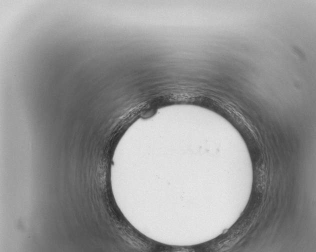 X0000115410505200912011228