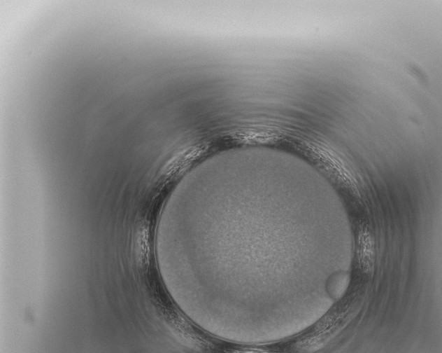 X0000115410506200912011228