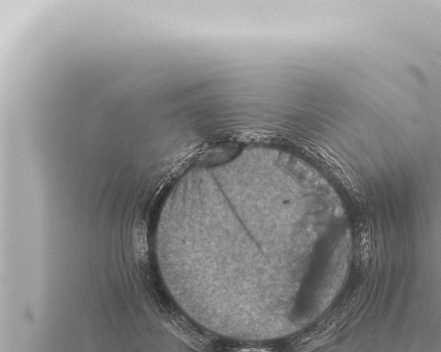 X0000115410508200912011228