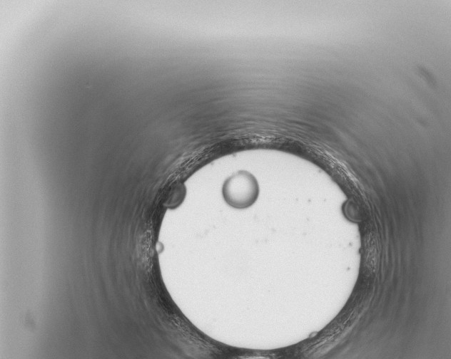 X0000115410509200912011228