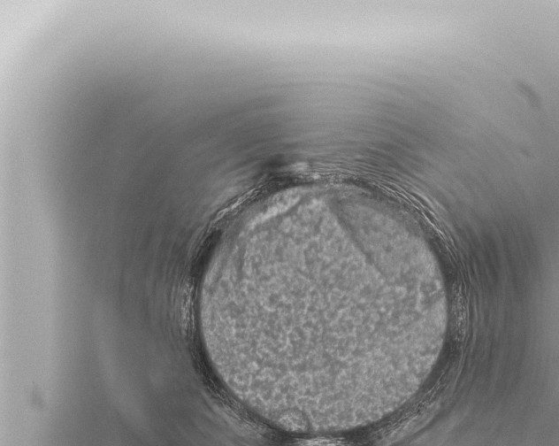 X0000115410511200912011228