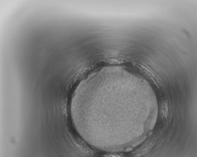 X0000115410512200912011228