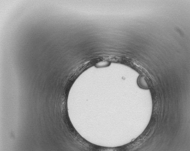 X0000115410513200912011228