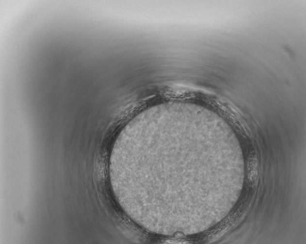 X0000115410515200912011228