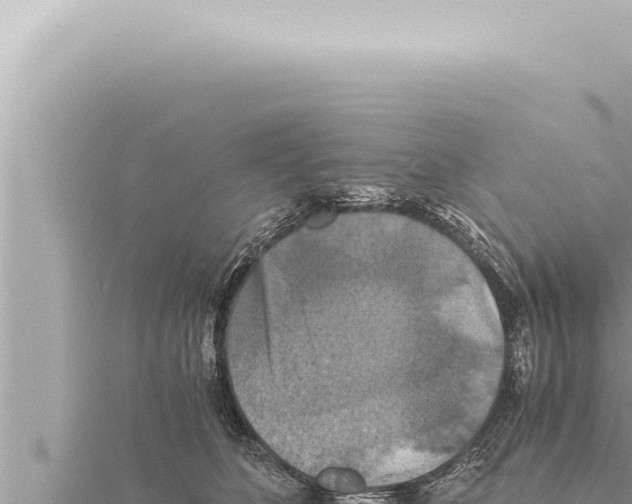 X0000115410516200912011228