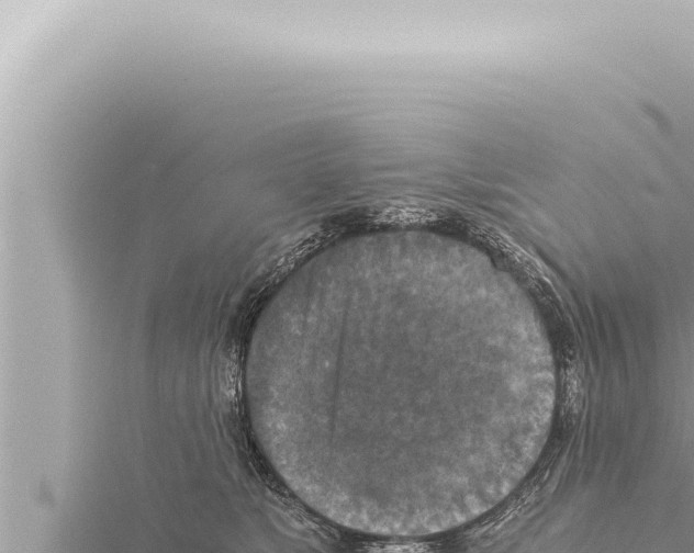 X0000115410517200912011228