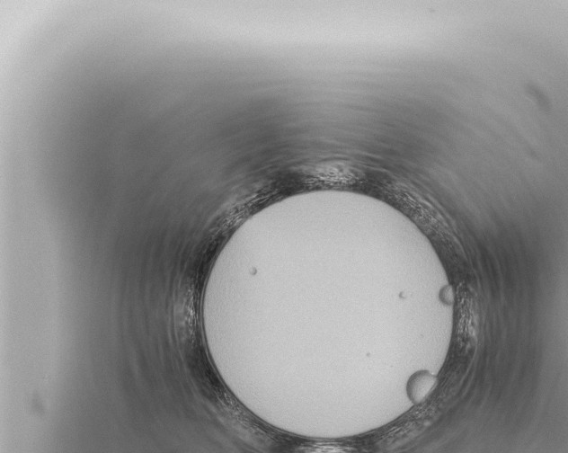 X0000115410518200912011228