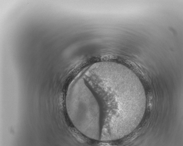 X0000115410519200912011228