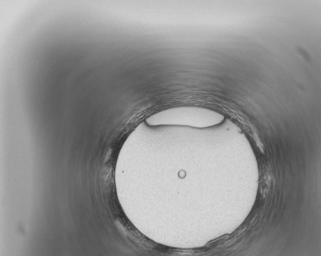 X0000115410521200912011228