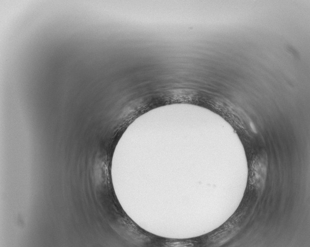 X0000115410522200912011228