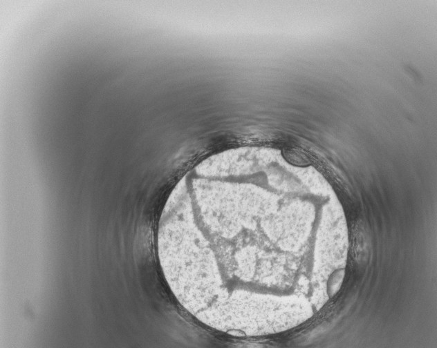 X0000115410523200912011228