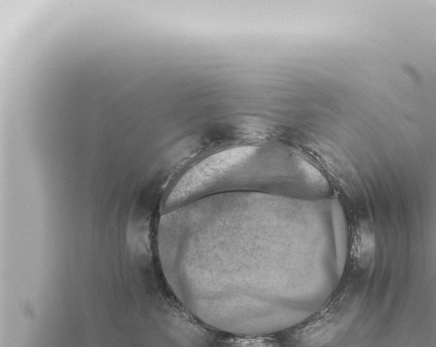 X0000115410524200912011228