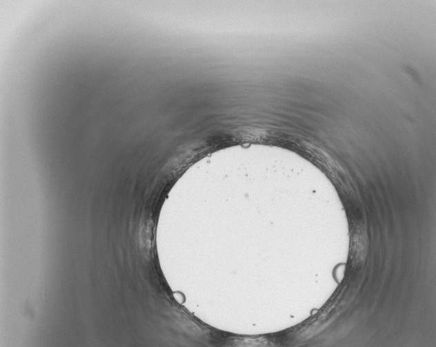 X0000115410525200912011228