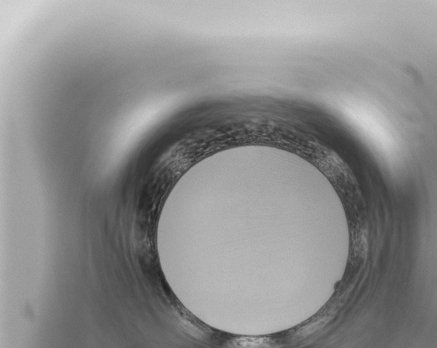 X0000115410526200912011228