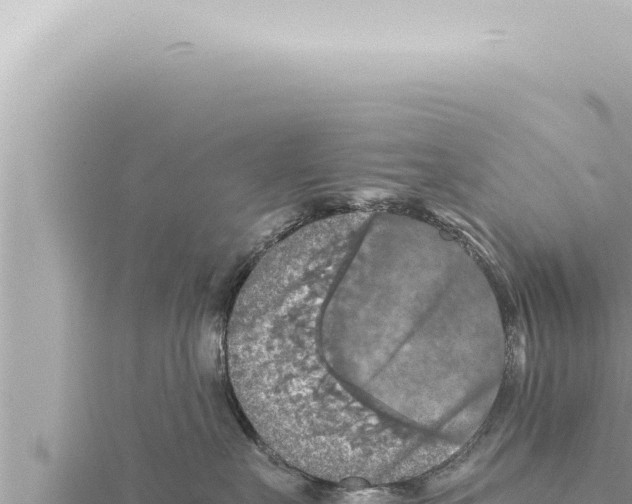 X0000115410527200912011228