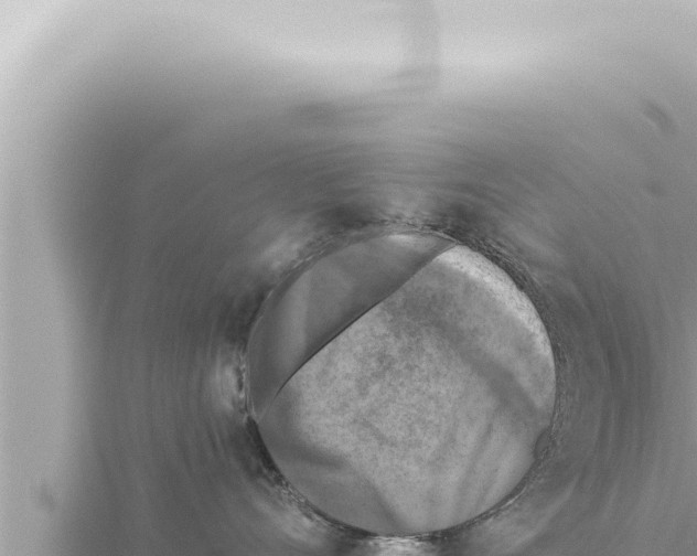 X0000115410528200912011228