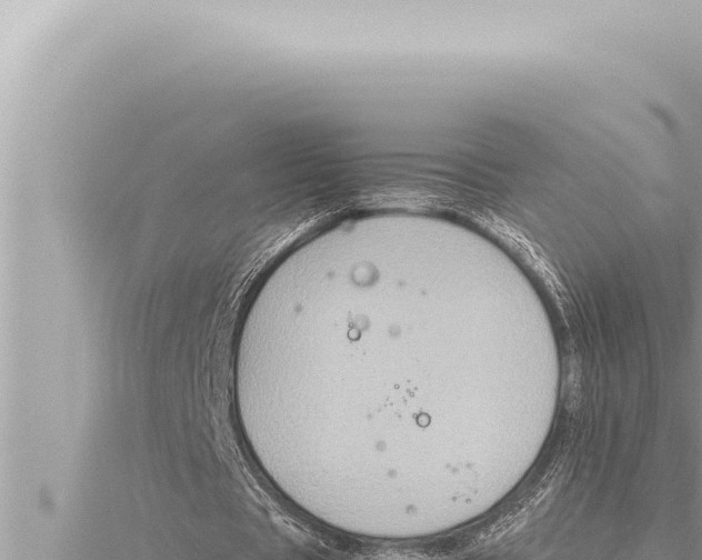 X0000115410529200912011227