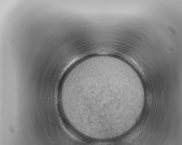 X0000115410530200912011227