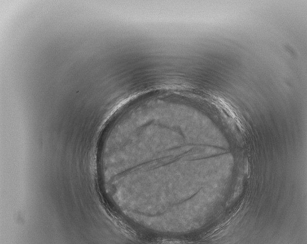 X0000115410531200912011227