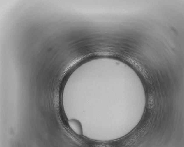 X0000115410535200912011227